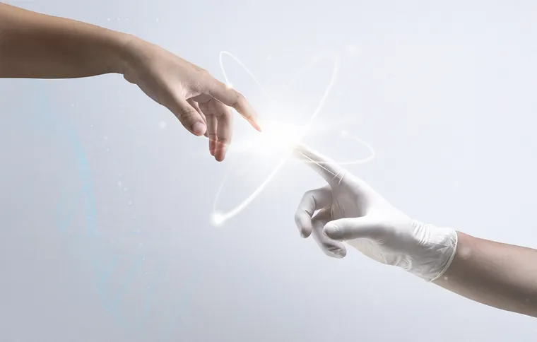 Know-How Transfer & Partnerships
